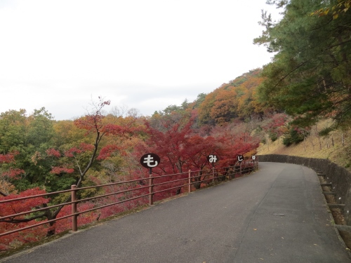 紅葉