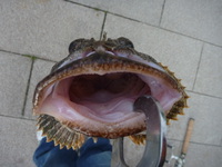 んば～!! 2009/10/11 19:36:43