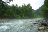 2009 山女魚の棲む川へ 11 2009/07/20 16:13:02