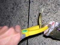 バス釣り初の