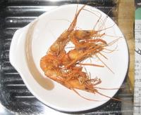 先週の釣果