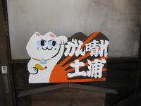 霞ヶ浦遠征・ハスだっぺ