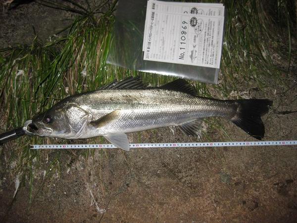これが僕の好きな釣り