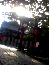 【その他】今年も宜しくお願いします