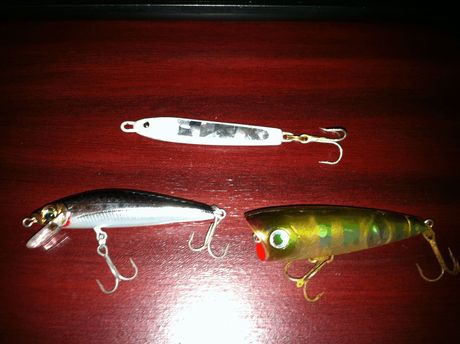 ダイソーポッパーで釣れるのか！！