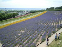 ファーム富田 2011/07/23 17:37:03