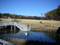 県立自然博物館 2008/11/23 19:13:56