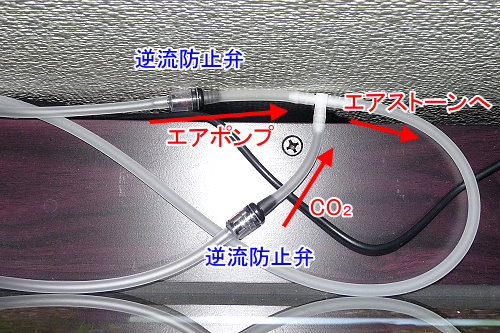 アクアリウム始めました:発酵式CO2添加