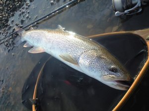 朱鞠内湖、前浜スプーン伝説！？