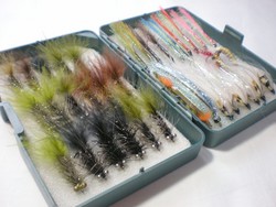 今年はフライでイトウを狙う！
