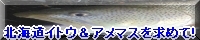 ブログバナー変更　投票お願いします！　m(_ _)m