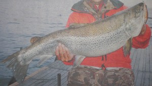 支笏湖、95cm ブラウンの写真