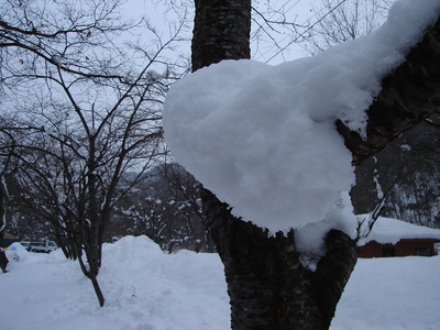 【雪中だよ！！国際野営交流 ｉｎ 大鬼谷】