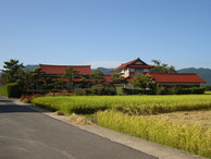 『収穫の秋』到来！島根県産「コシヒカリ」