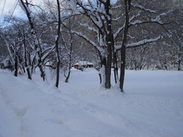 『２０１１新年豪雪大鬼谷！てっこつ雪中野営』（最終）