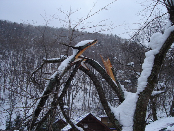 『２０１１新年豪雪大鬼谷！てっこつ雪中野営』（最終）