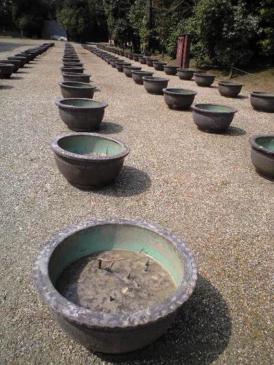 Jr.に見せたかった思い出の土地＆恩師との再会　奈良編　中編