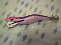 県南エギング準備 2009/11/27 12:00:00