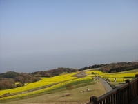 弟が暮らす場所 2011/04/09 22:30:00