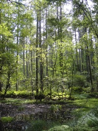 しらびそ小屋でまったり