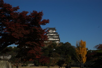 紅葉狩り　2006.12.3