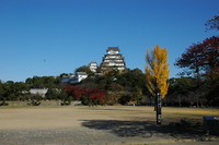 紅葉狩り　2006.12.3