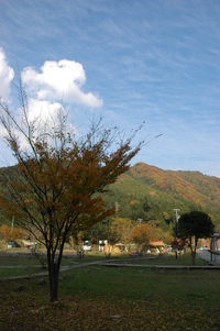 '0811ちょいワザway in 南光(1)