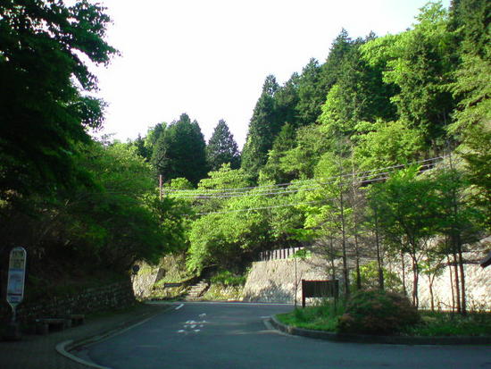 もう一枚ありませんかね。