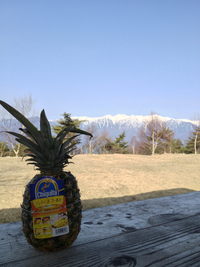 春の陣馬形山