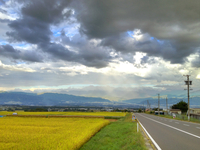 誰かが迷ったら信州へ行けと言ったので行って見た。