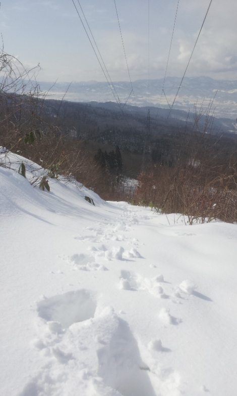 冬の里山