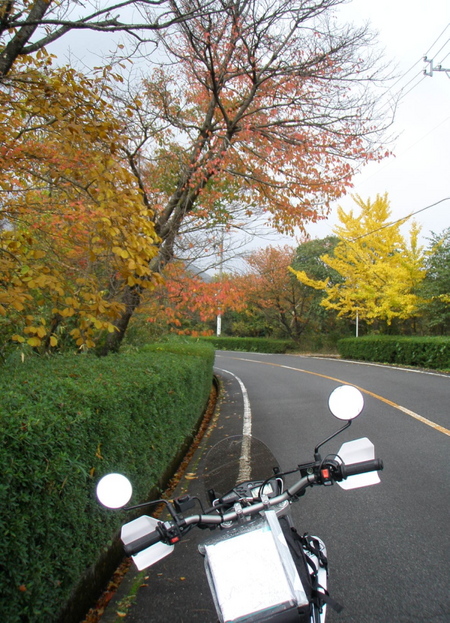 セロープチツーリング　三重県民の森