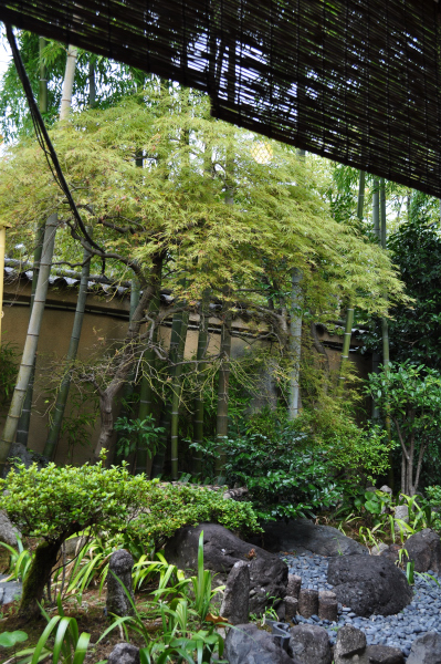 セローツーリング　京都嵐山　前編