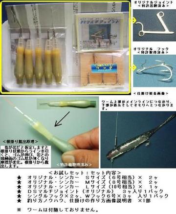 ヒラメDSって何？