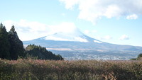 静岡県・乙女森林公園第二キャンプ場 2009/12/21 01:14:49