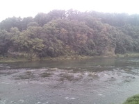 今朝の荒川：寄居