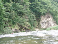 広瀬川20090823 2009/08/23 22:34:00