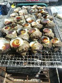 【大人気イベント!!】海鮮ＢＢＱ参加者募集!!　の巻 2013/04/20 15:22:15