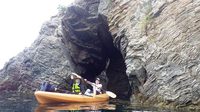 【勇気と勢いだ!!!!】海の生物図鑑その１☆　の巻 2013/07/23 17:36:46