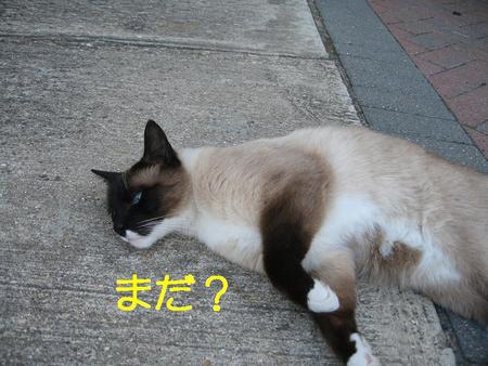 駄目人間の一日