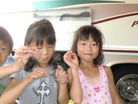 大曲花火大会②(28日)