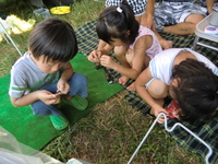 大曲花火大会②(28日)