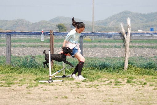 今日も暑かった・・・