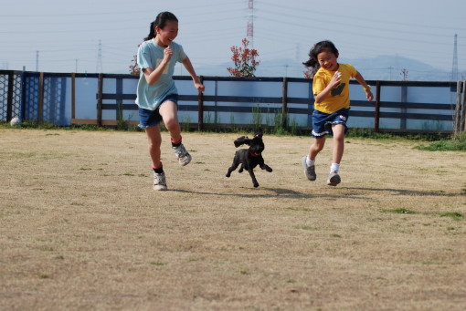 今日も暑かった・・・