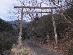 仙人ヶ岳