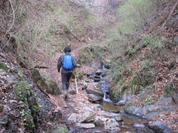 仙人ヶ岳