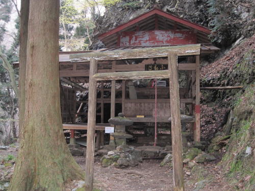 仙人ヶ岳