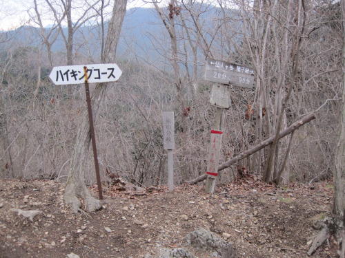 仙人ヶ岳