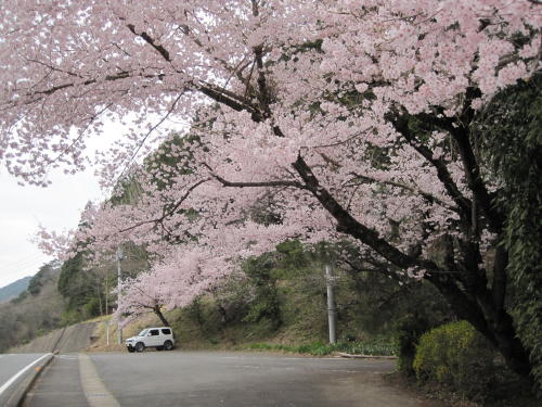 仙人ヶ岳