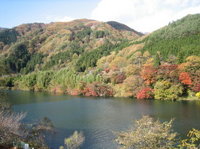 沢入から神戸ハイキング②